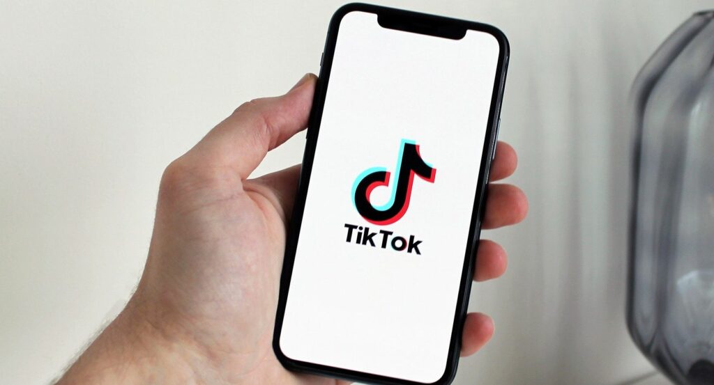 TikTok Video Downloader