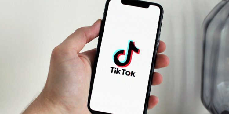 TikTok Video Downloader