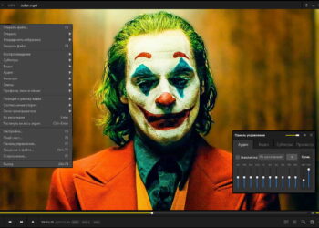 PotPlayer Not Showing Video
