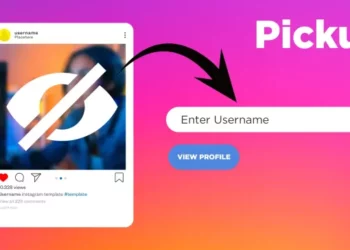 Picuki | The Best Instagram Editor 2024